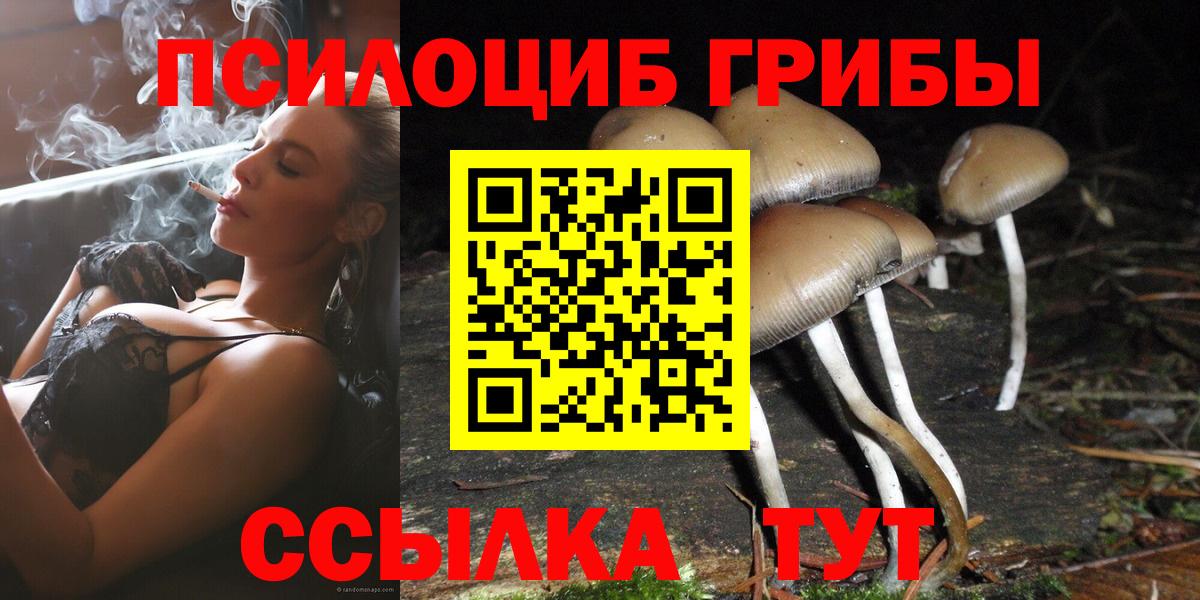 Псилоцибиновые грибы Psilocybine cubensis Чита